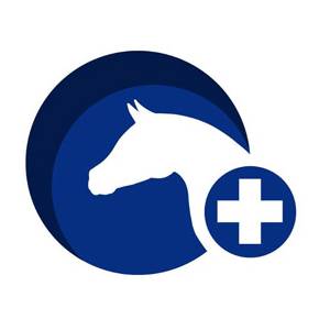 José Lopes-da-Silva – Veterinario Equino Ze Silva