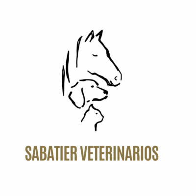 Captura-de-pantalla-2026-01-11-a-las-21.18.51