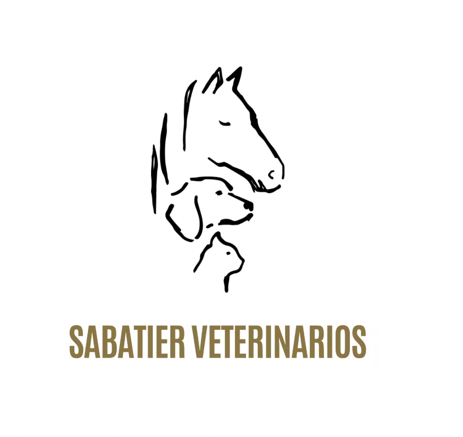 Bérengère Marguerite Sabatier – Sabatier Veterinarios