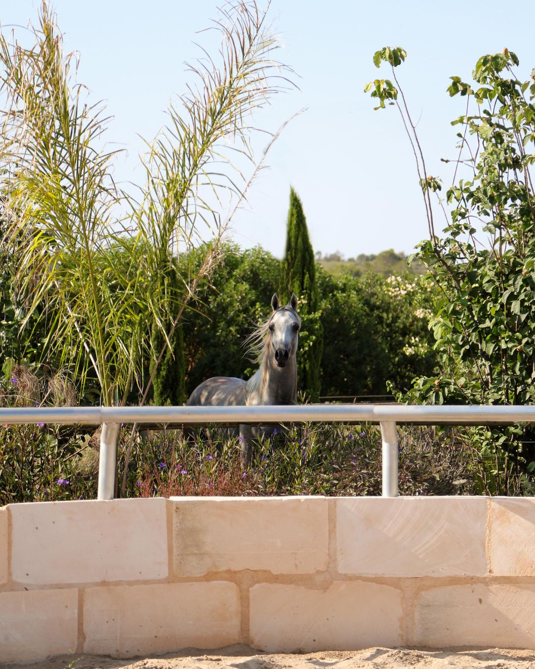 Paradise Ranch Mallorca